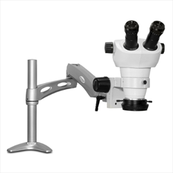 Kính hiển vi Scienscope NZ-PK3-R3